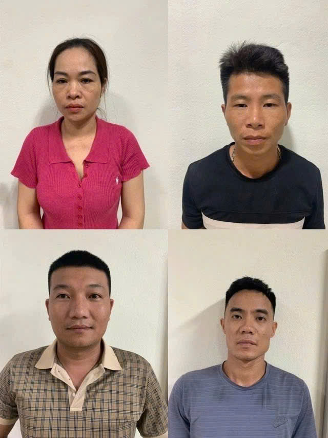 Thanh Hóa phá đường dây mua bán heo nhiễm bệnh dịch tả châu Phi